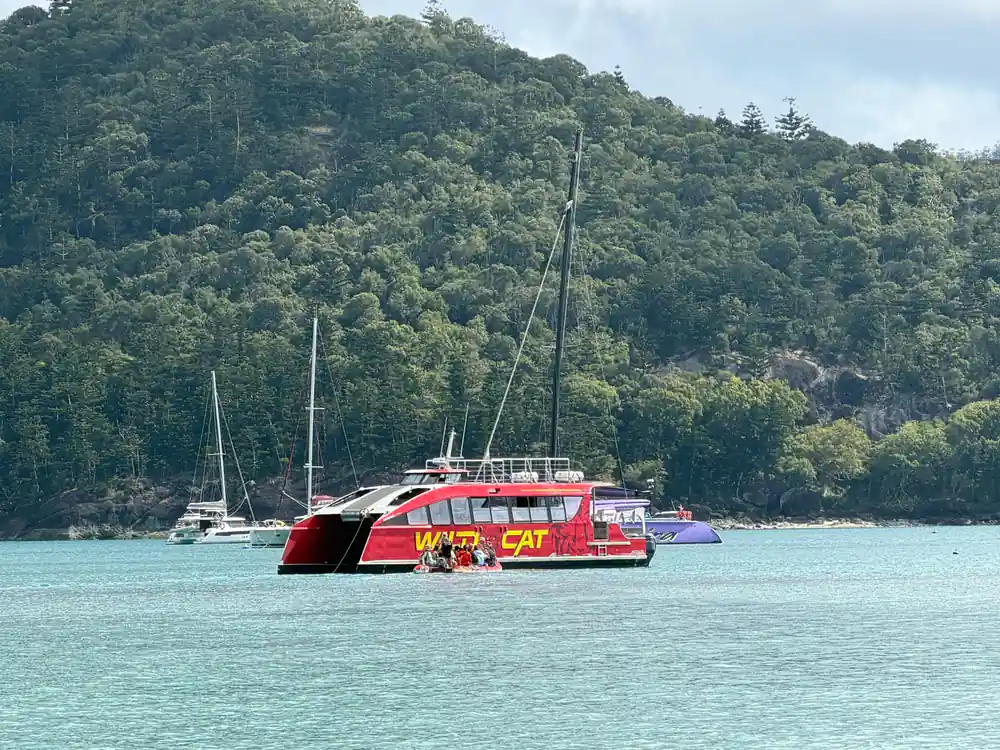 Red and white catamaran sailing boat anchored in bay
