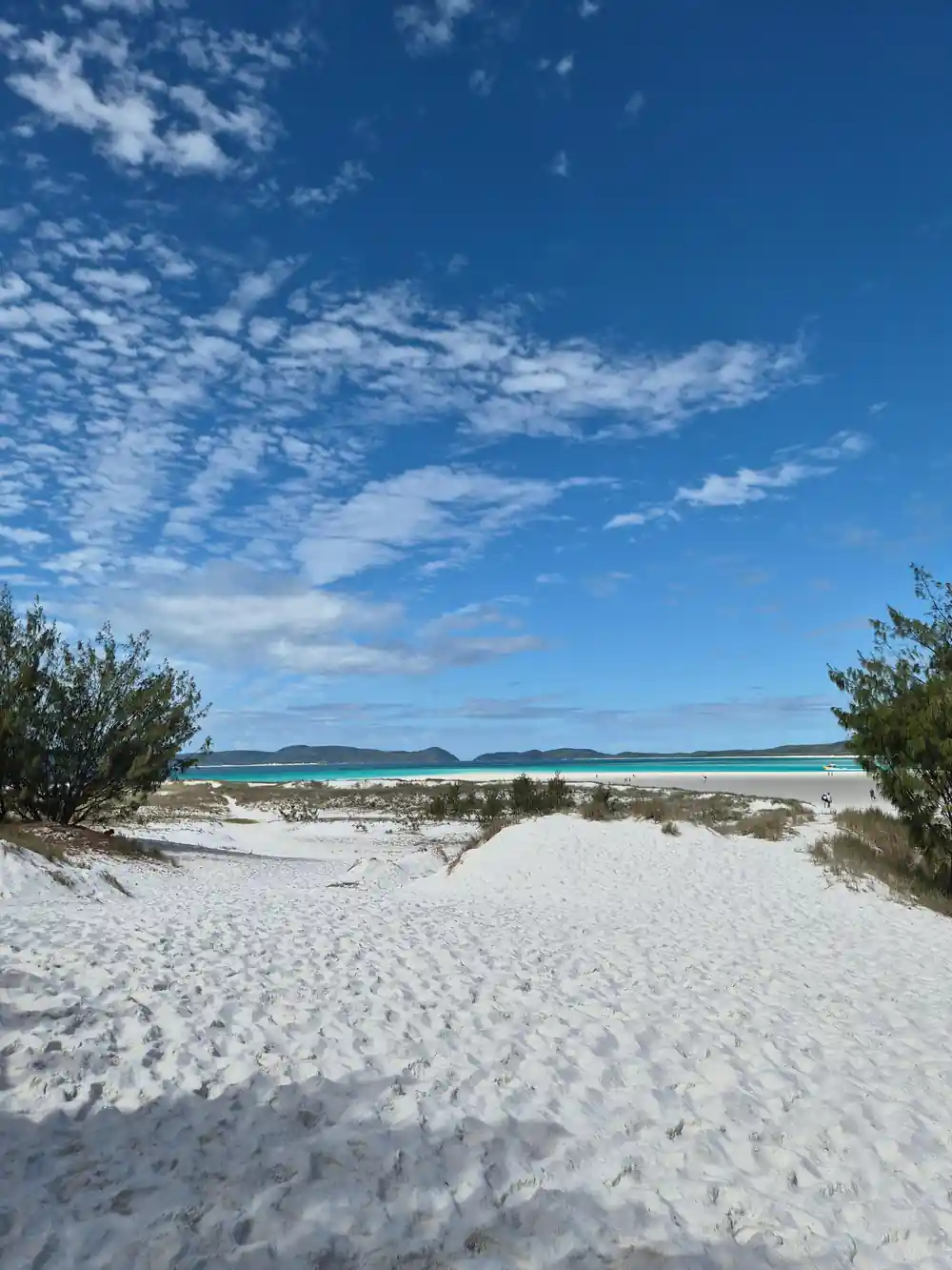 White sand beach with sparse vegetation and turquoise water